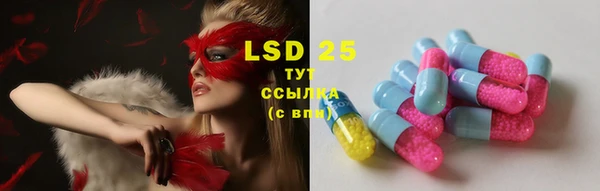 прущие грибы Галич