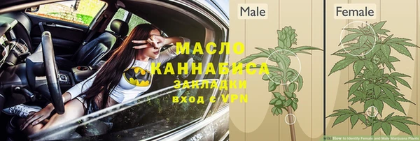 прущие грибы Галич