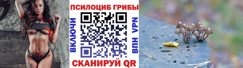 Псилоцибиновые грибы ЛСД  Кремёнки 
